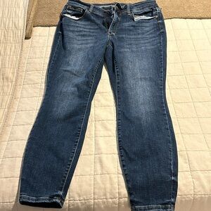 Judy Blue Skinny Fit jeans size 14W